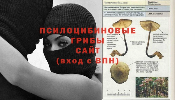 каннабис Гусев