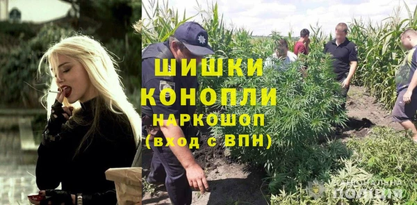 крисы Гусь-Хрустальный