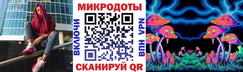 купить   Валдай  Галлюциногенные грибы Psilocybine cubensis 